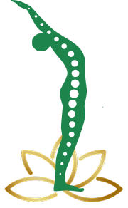 Healthy Spine Illustration